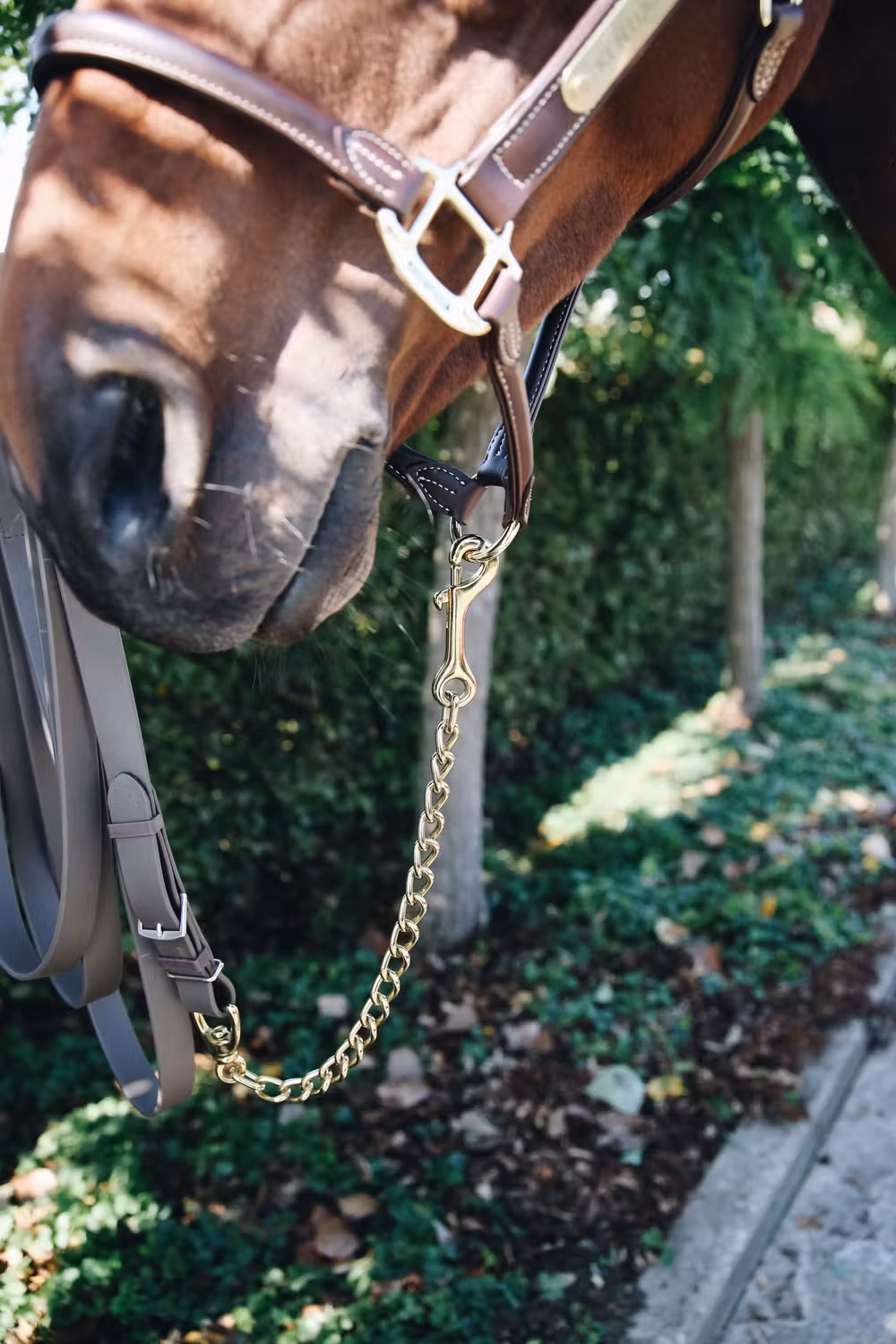 Stallion chain 60 cm