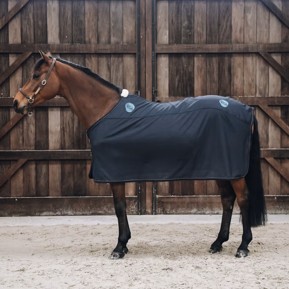 Magnetic Rug Recuptex 145-6'6