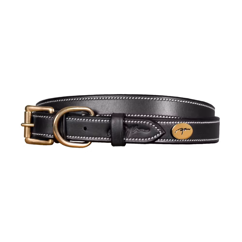 Flat Leather Dog Collar