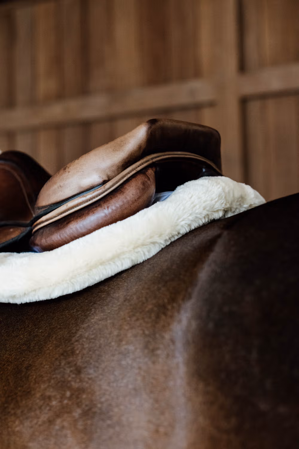 Saddle Pad Hunter vegan sheepskin jumping naturel