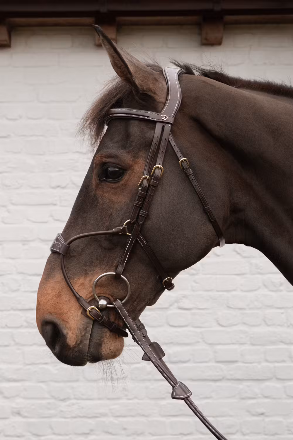 Hybrid bridle DY coll, Full/brown