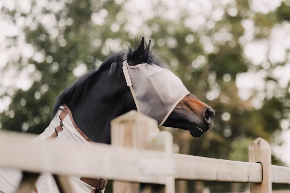 Fly mask classic without ears beige cob