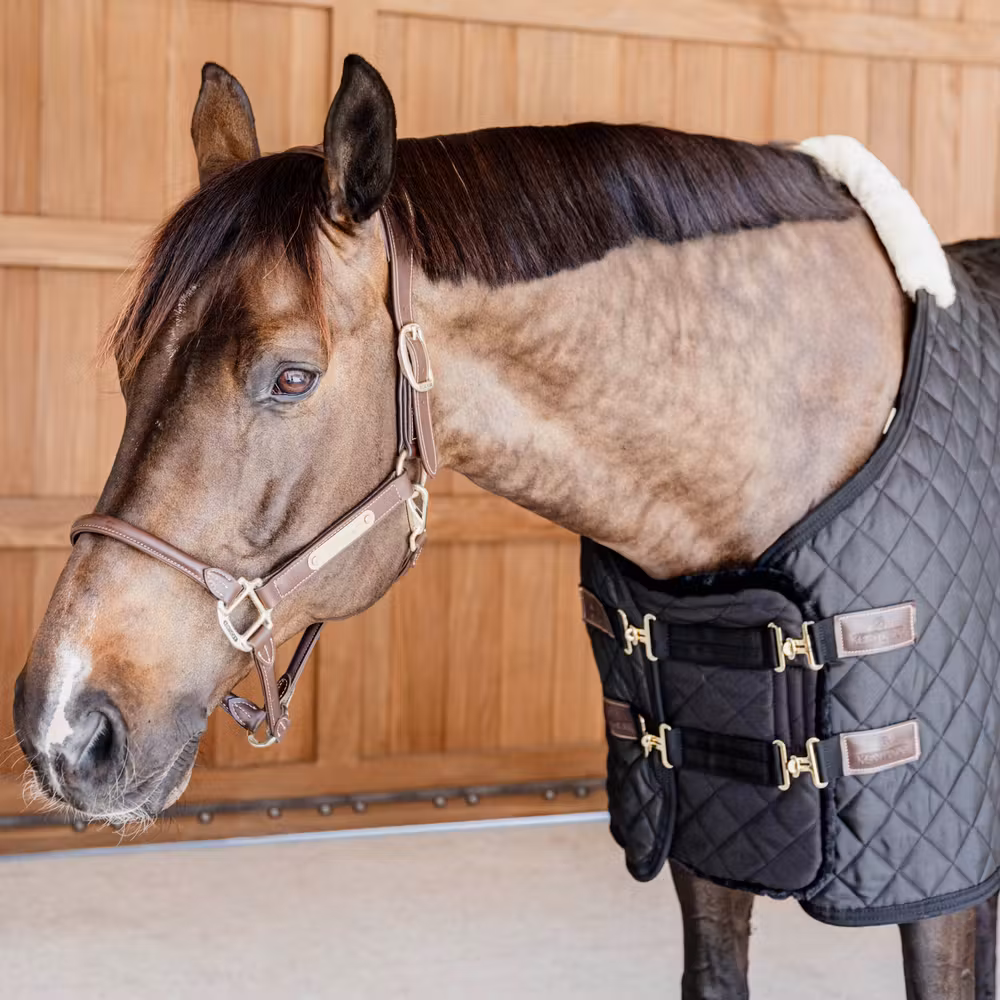 Chest expander quilted with sheepskin 2 buckles black