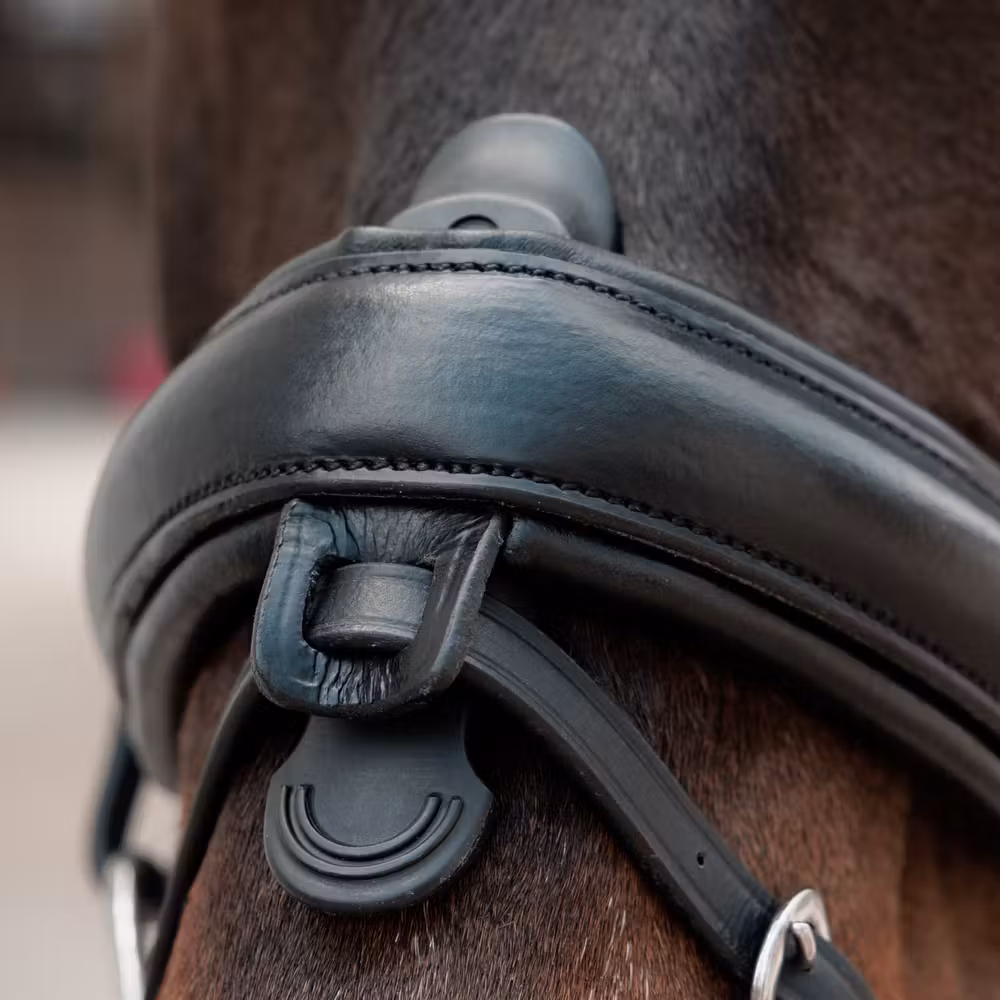 Crank Noseband Matt Special FEI
