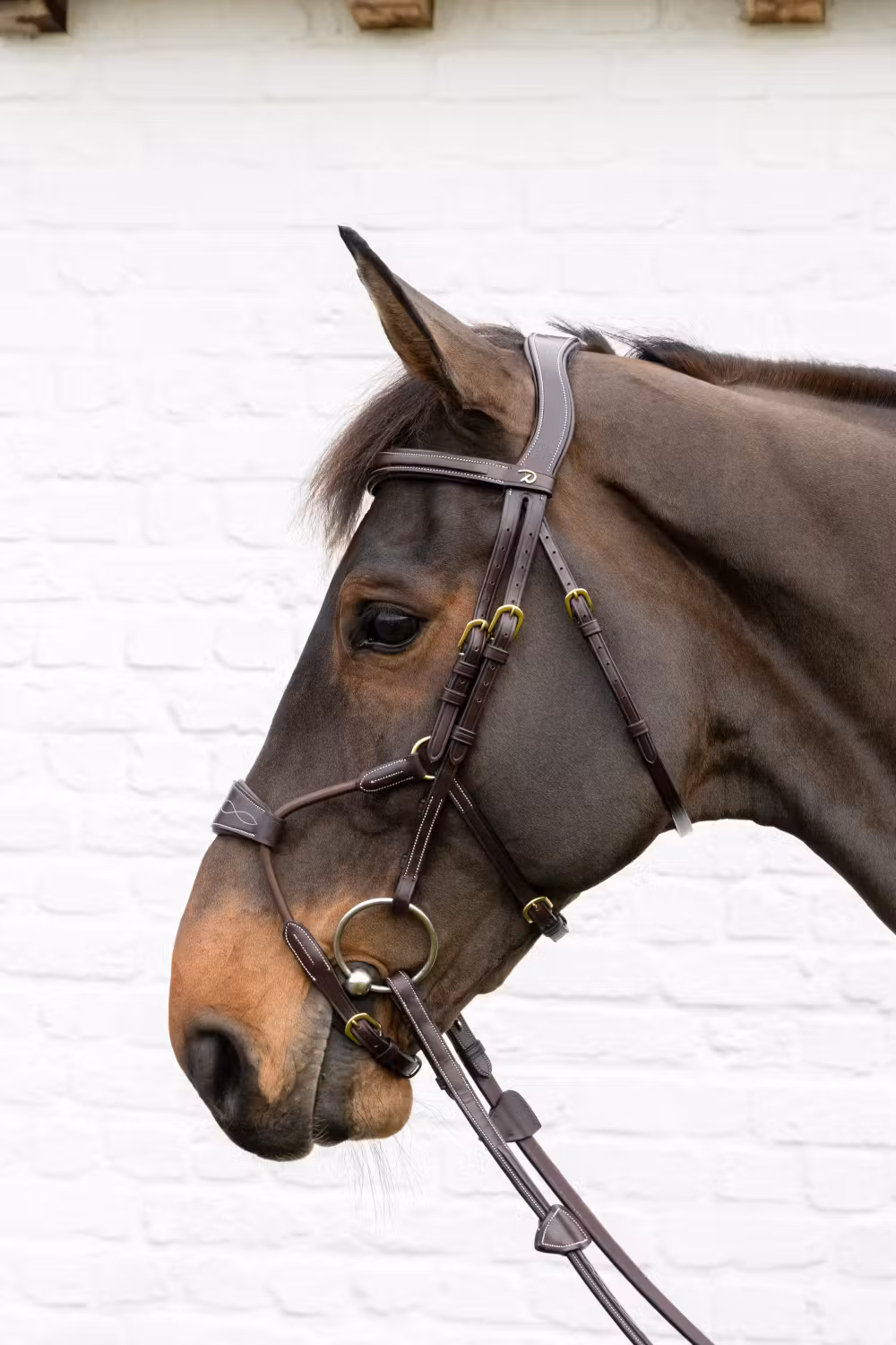 Elastic hybrid bridle DY coll, Over/brown