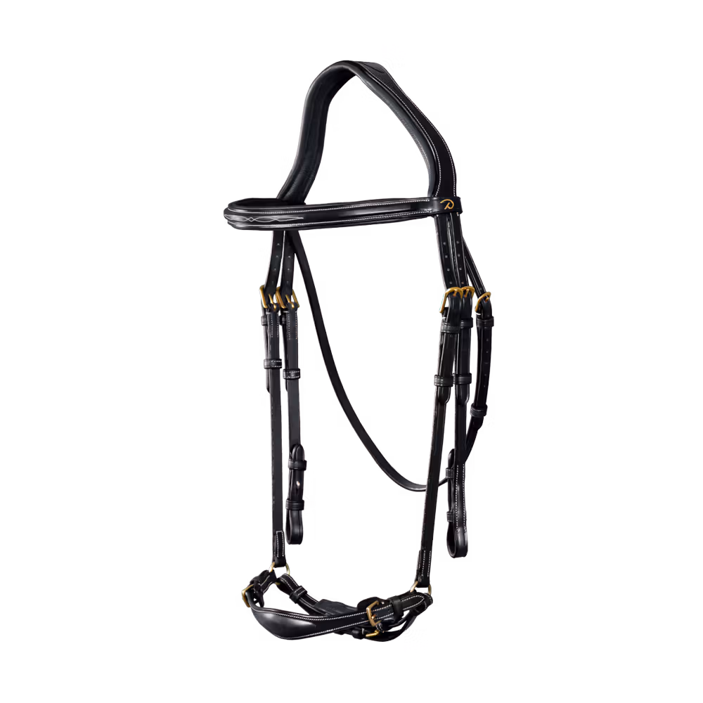 Adjustable Drop Noseband Bridle