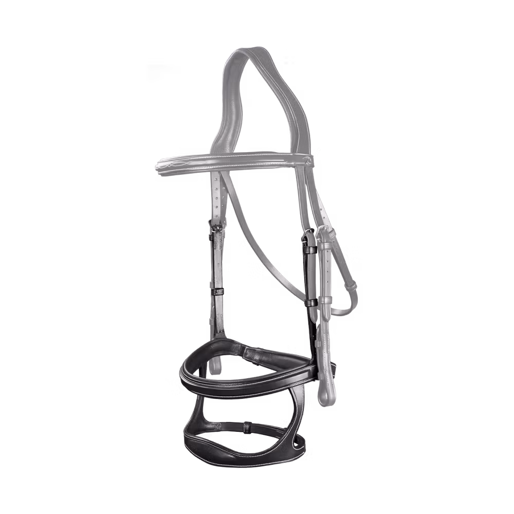 Double Noseband