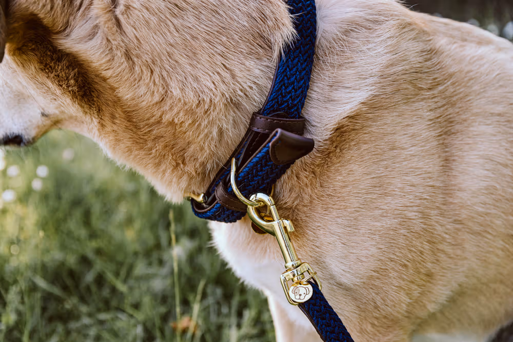 Plaited Nylon Dog collar navy S 42cm