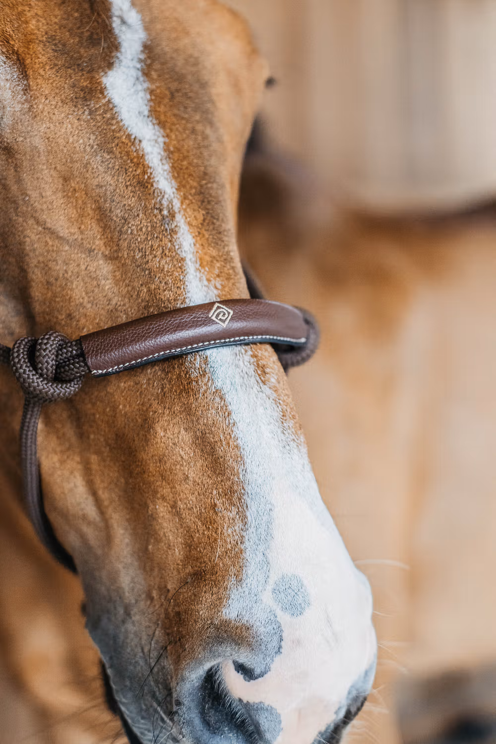 Dyon Training Halter Brown Full WBD