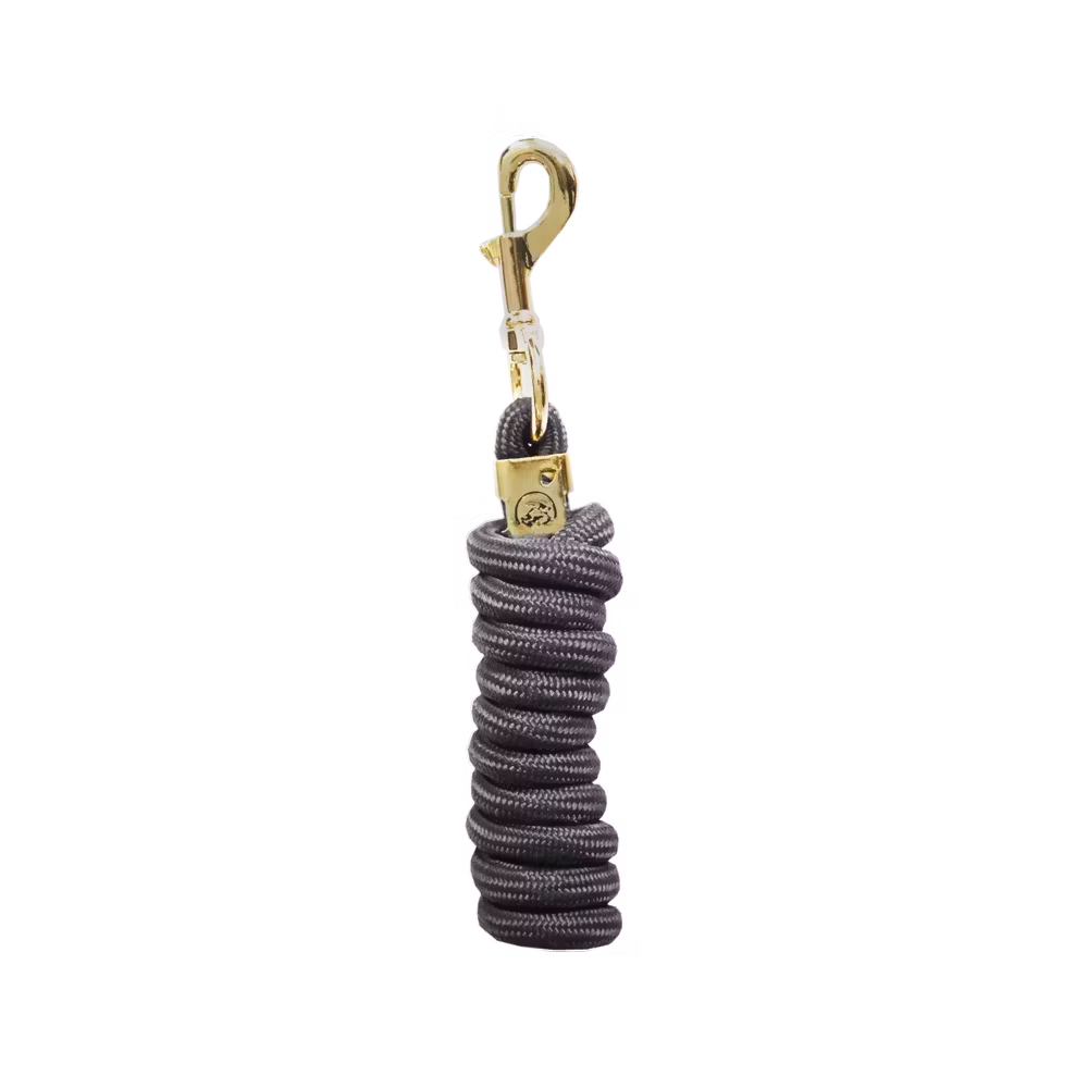 Lead rope basic red 2m