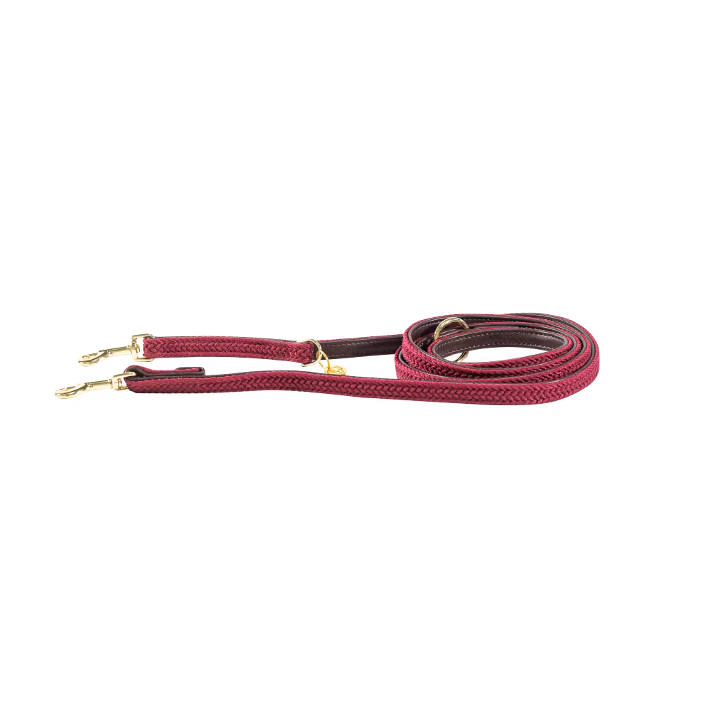Plaited Nylon dog lead grey 2m