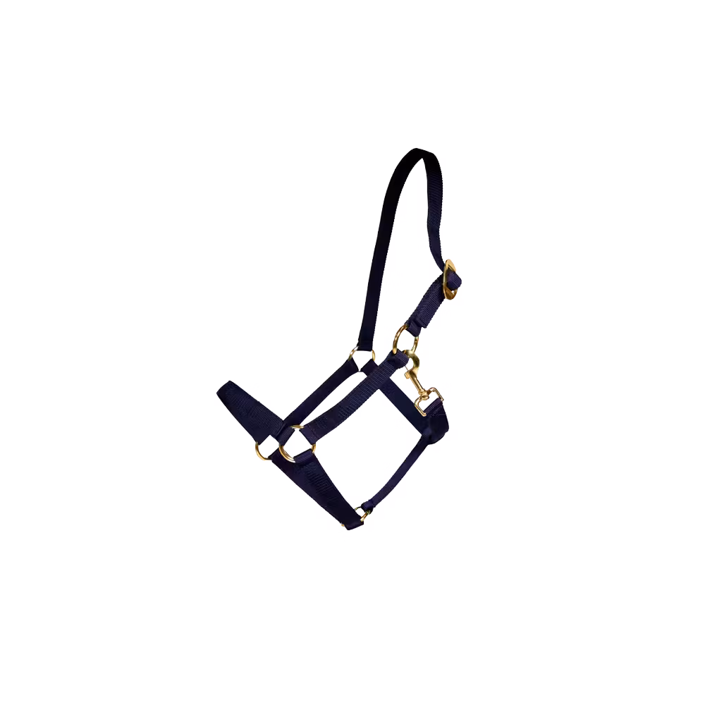 Nylon halter navy Full