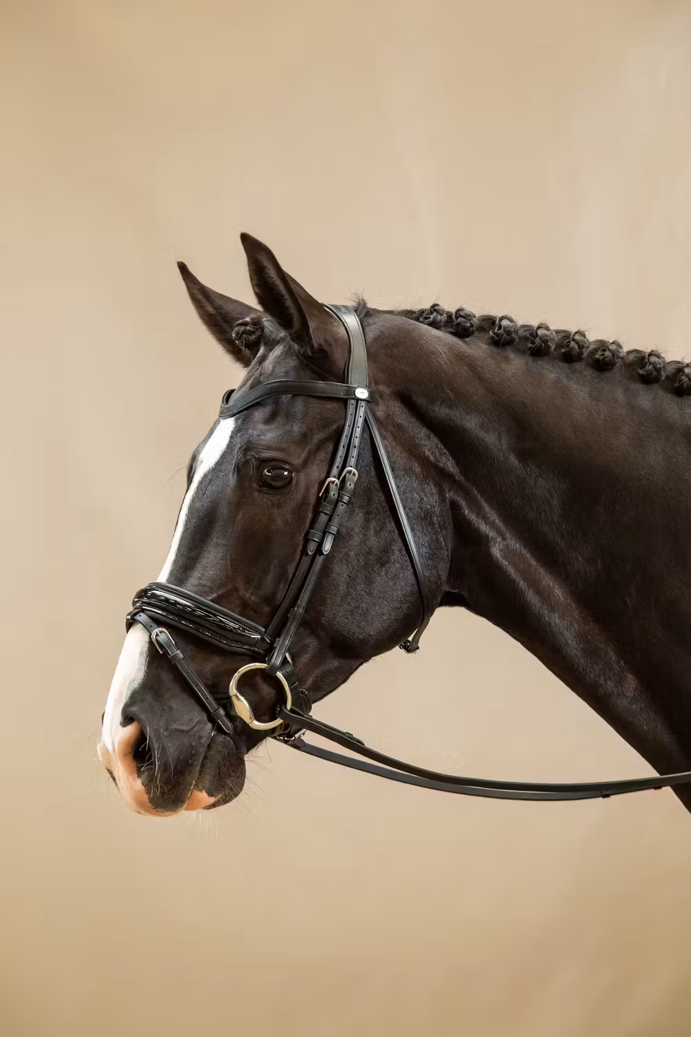 Patent Large Crank Noseband Bridle With Flash