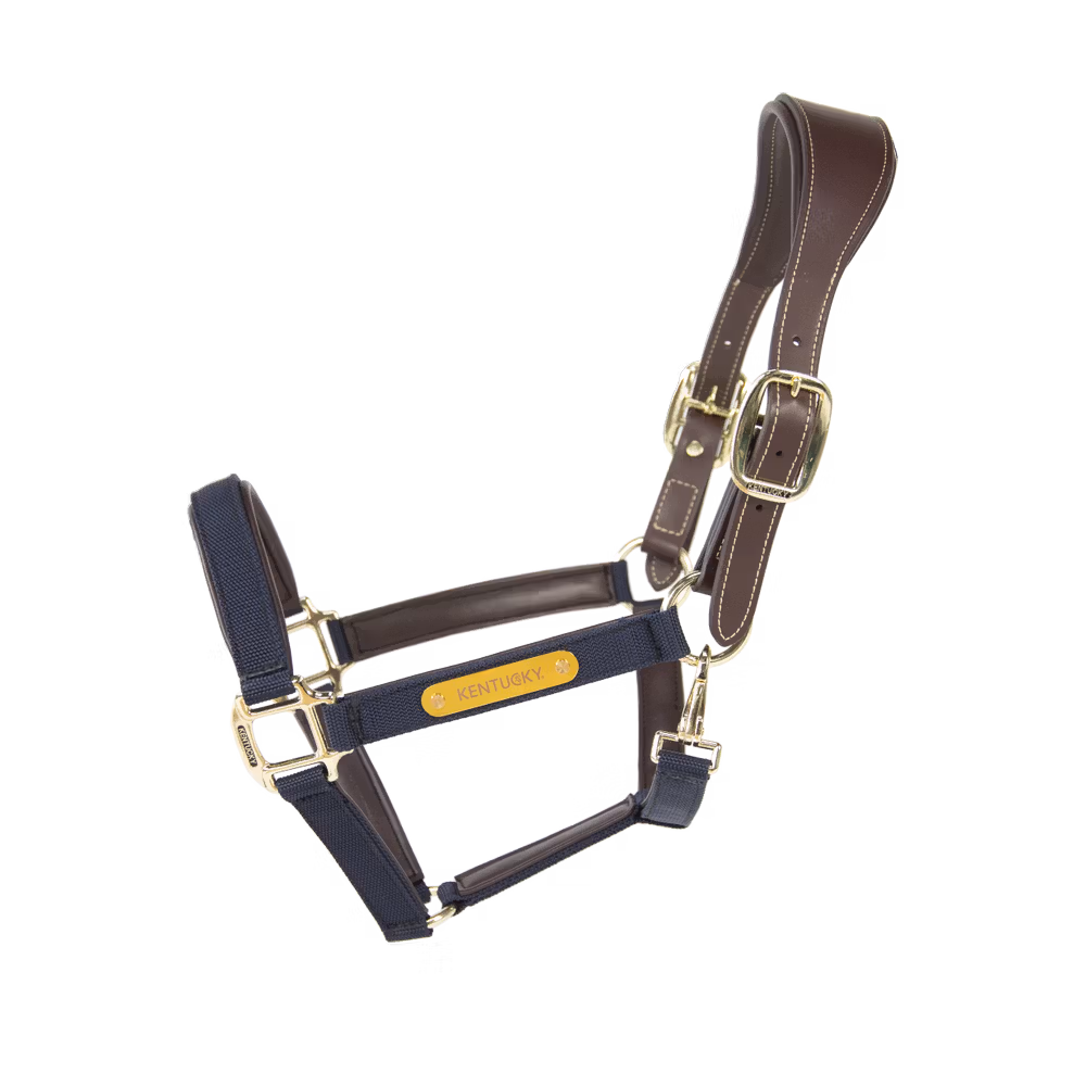Anatomic nylon halter navy cob