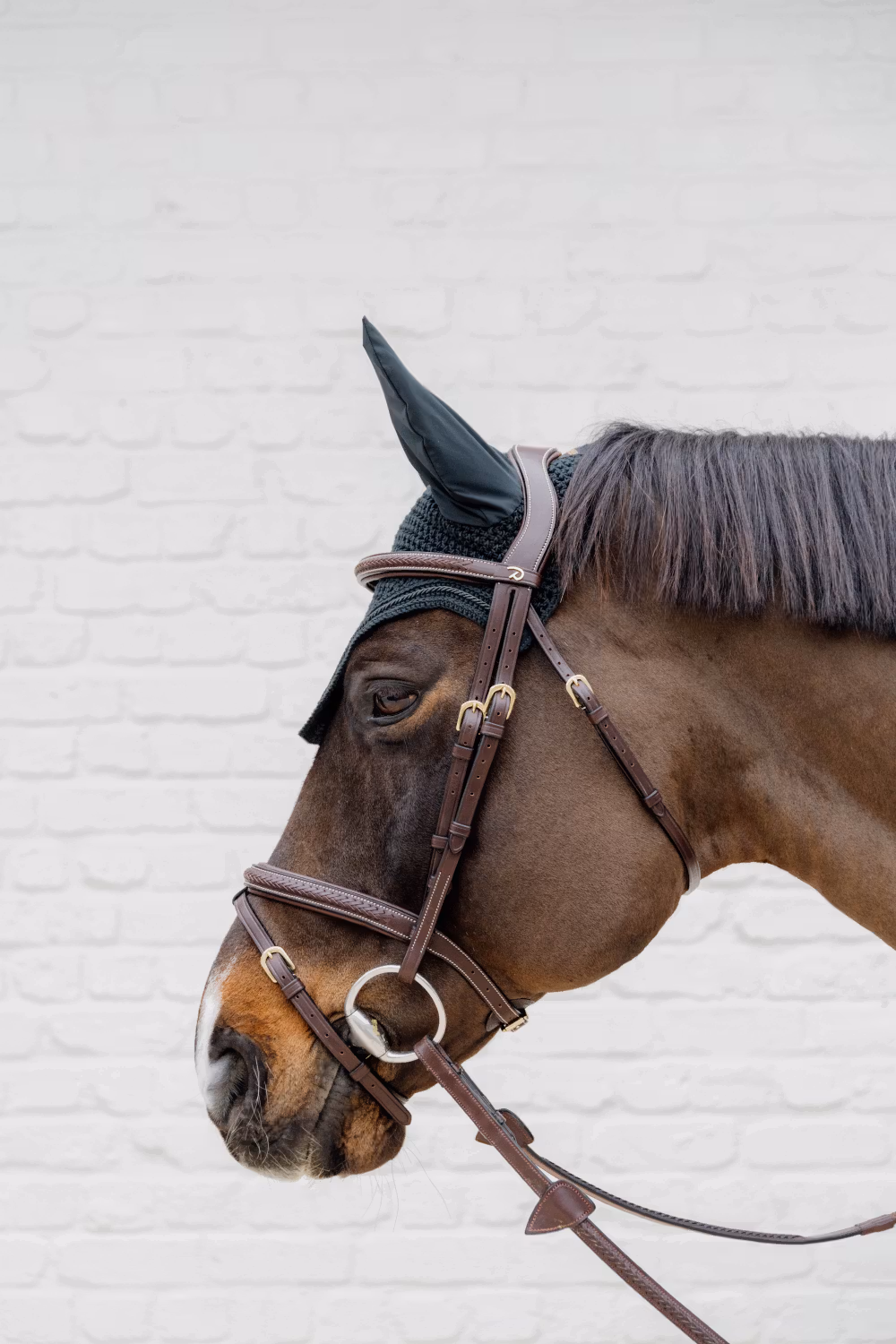 Plaited Flash Noseband Bridle Brown Full D Collection