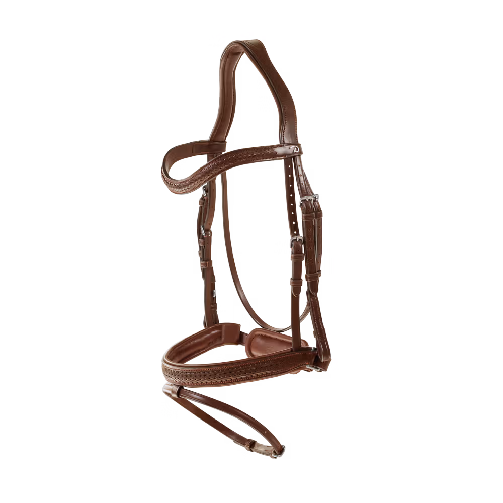 Plaited Flash Noseband Bridle with Pull back