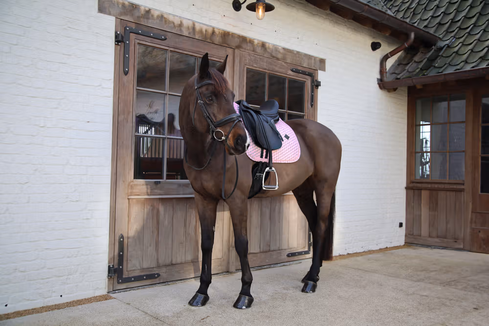 Saddle Pad sammy collection dressage old rose cob