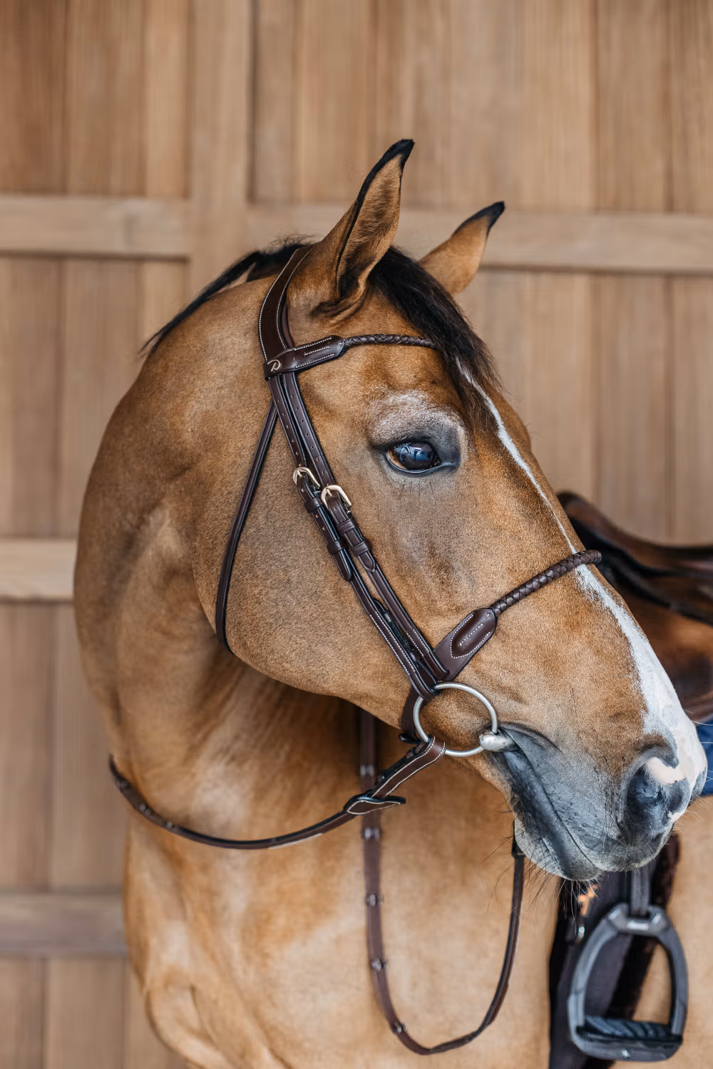 Braided Flash Noseband Bridle