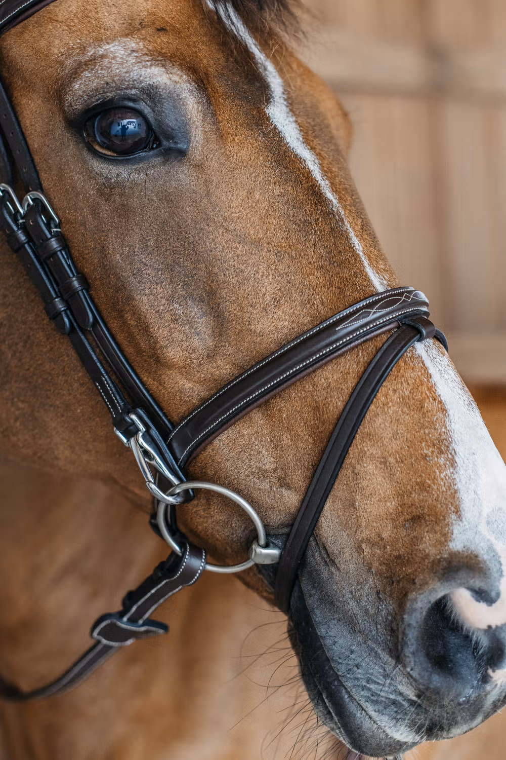 Flash noseband Bridle with snaps Brown Full WBD