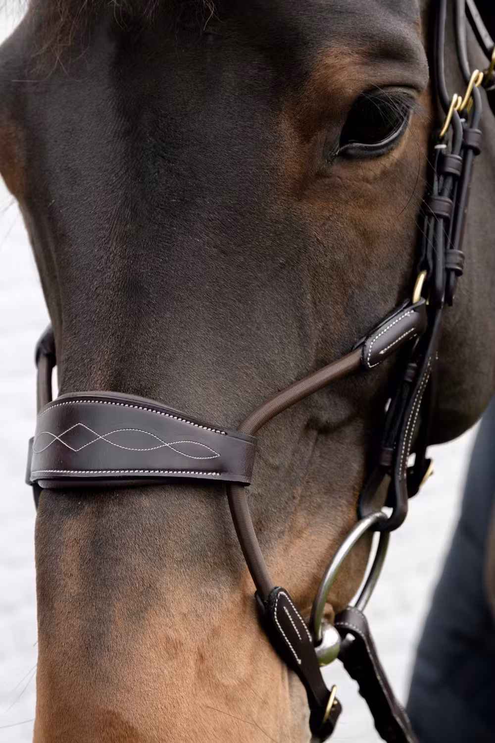 Elastic hybrid noseband DY coll, Full/brown