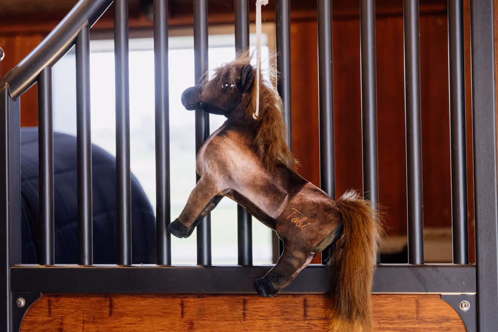 Relax Horse Toy Tableux