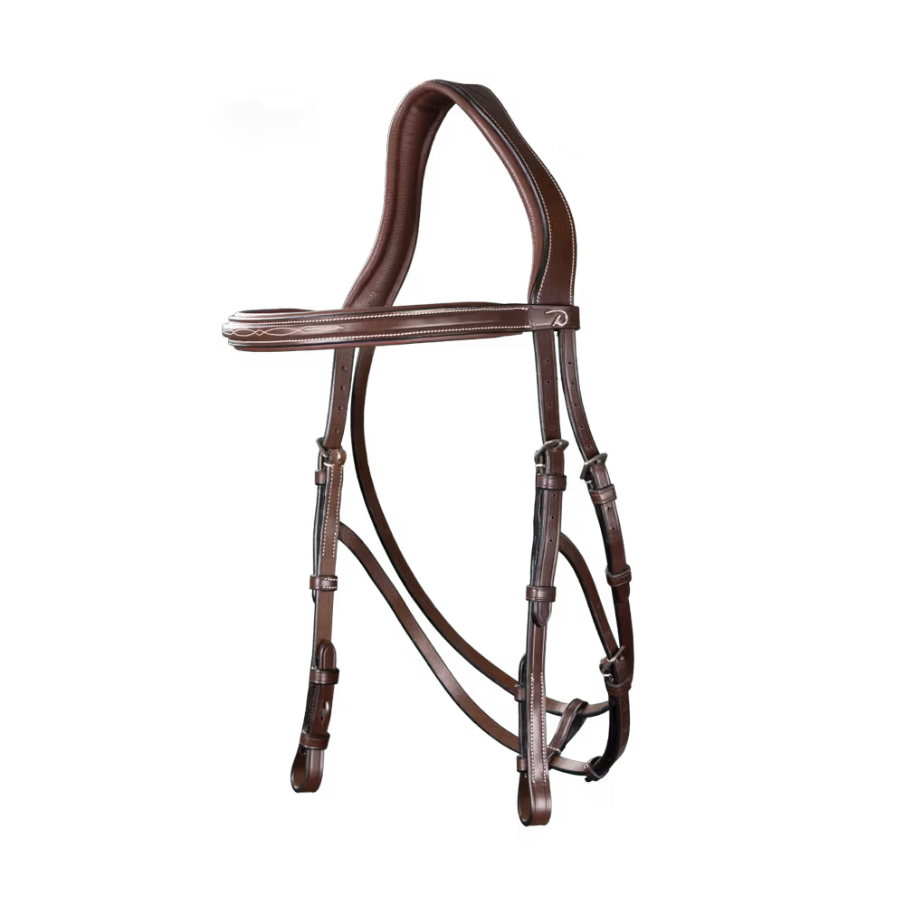 Hackamore Bridle