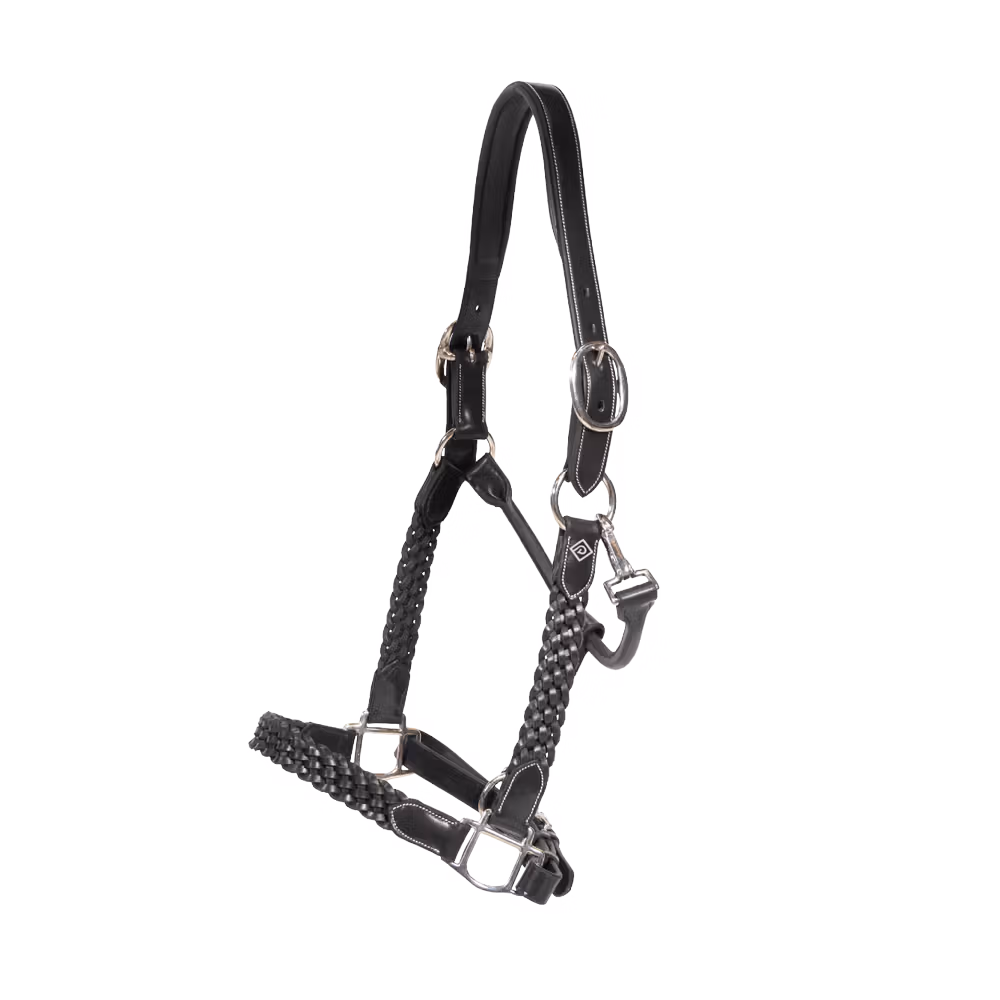 Plaited Halter