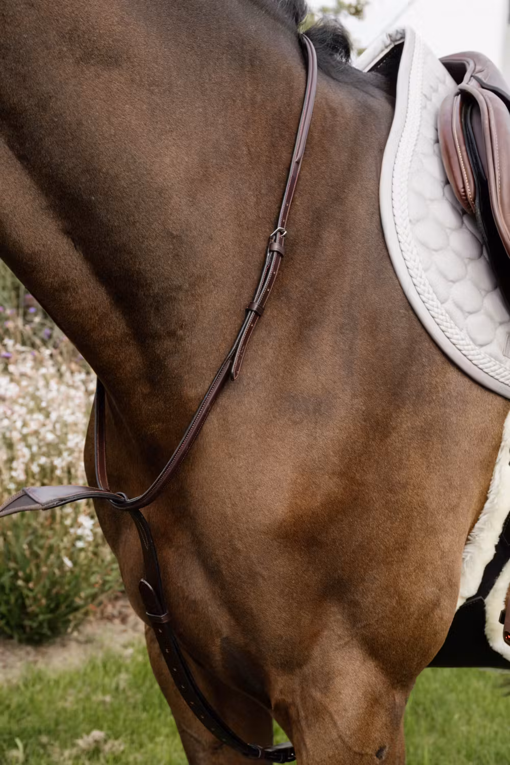Elastic BIB Martingale NE coll, Full/brown