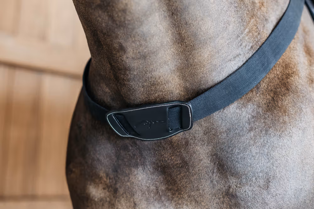 Elastic Breastplate Black Full D
