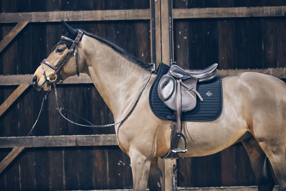 Saddle Pad pearls show jumping black