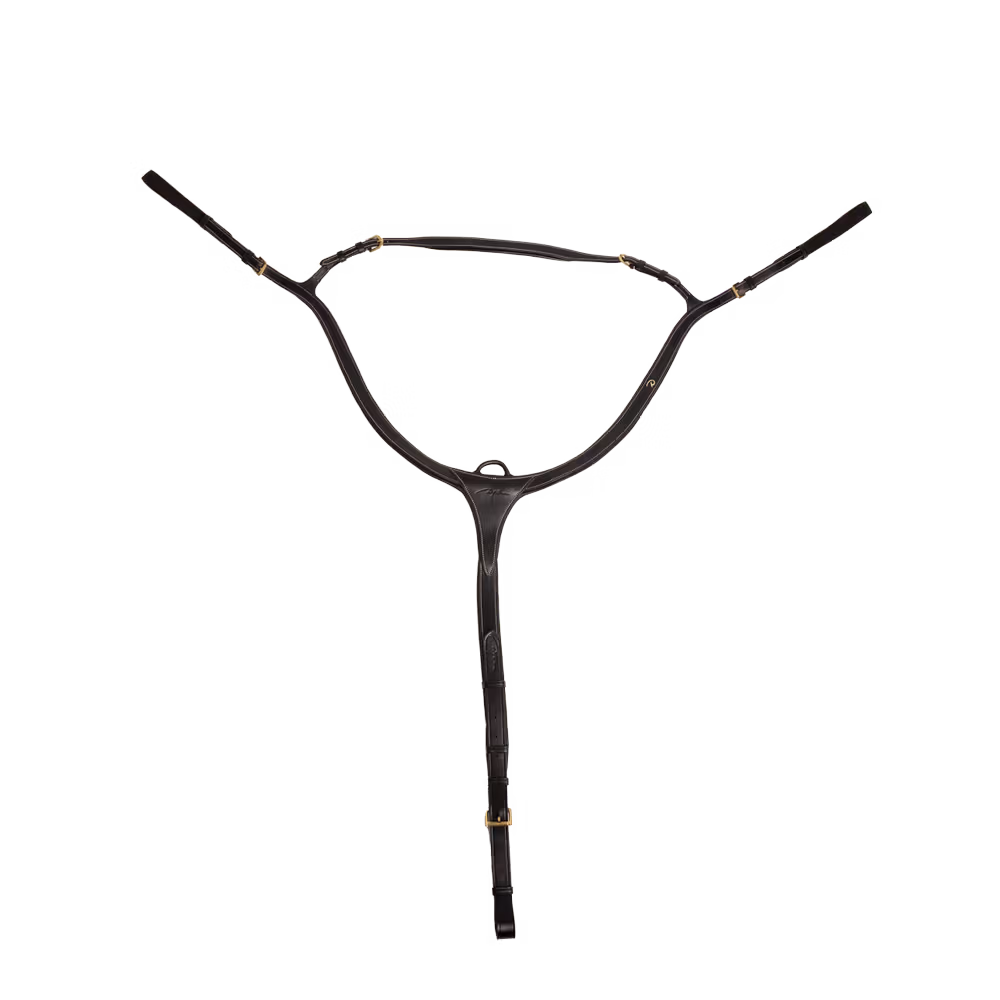 Long Bridge Breastplate