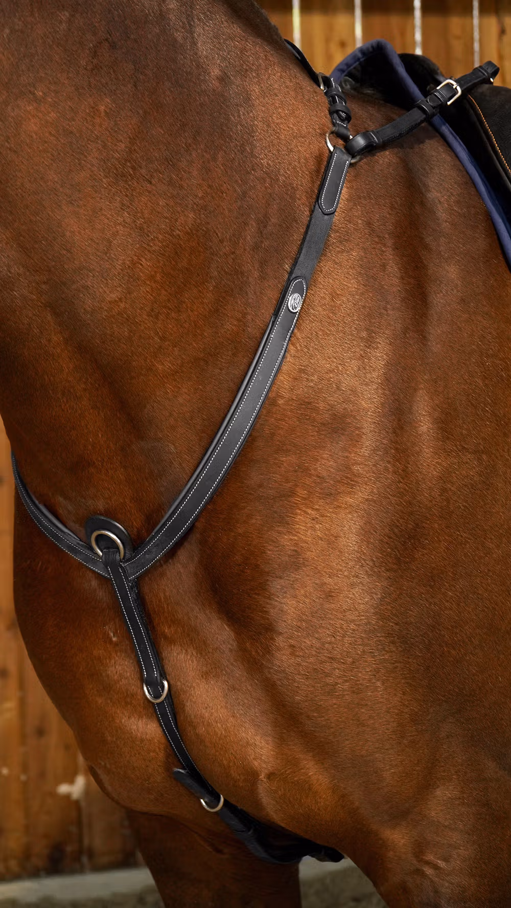 Bridge Breastplate