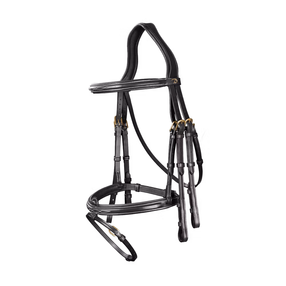 Flash Noseband Double Bridle