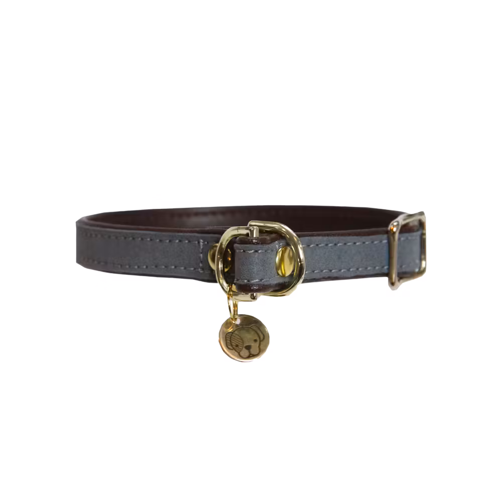Dog Collar 'Loop' grey, size XS-35 cm