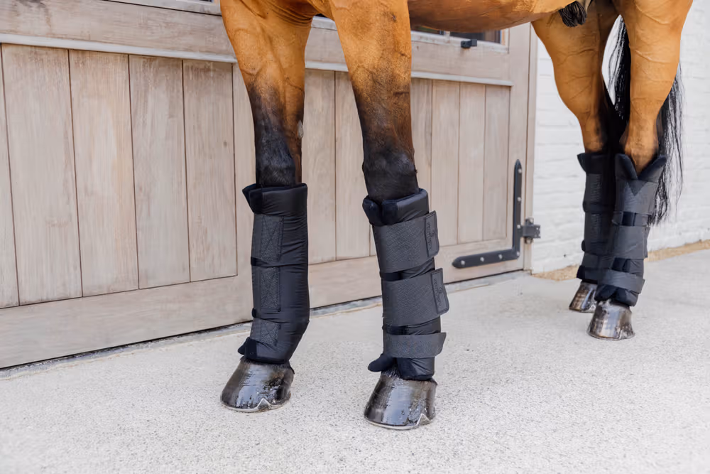 Stable boots PROtect classic front black size M