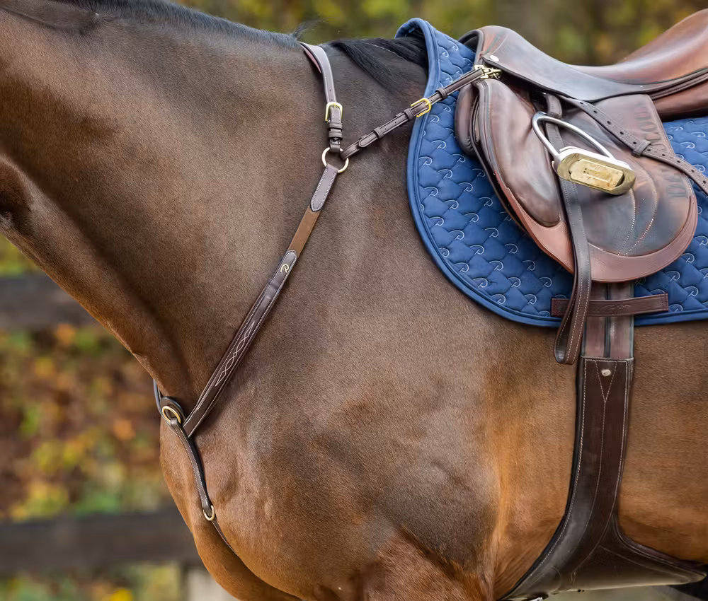Bridge Breastplate