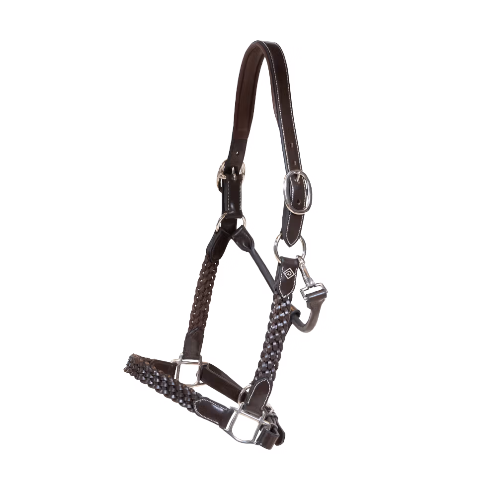 Plaited Halter