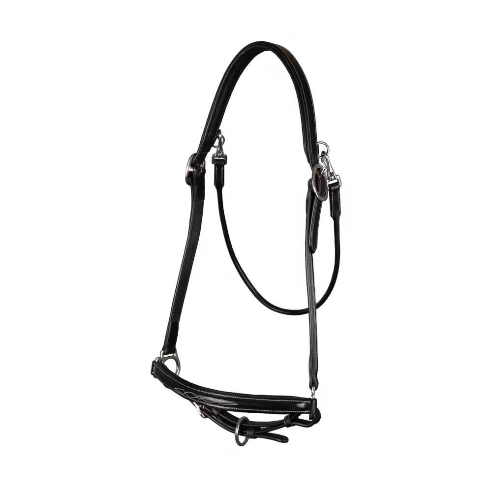 Grooming Halter