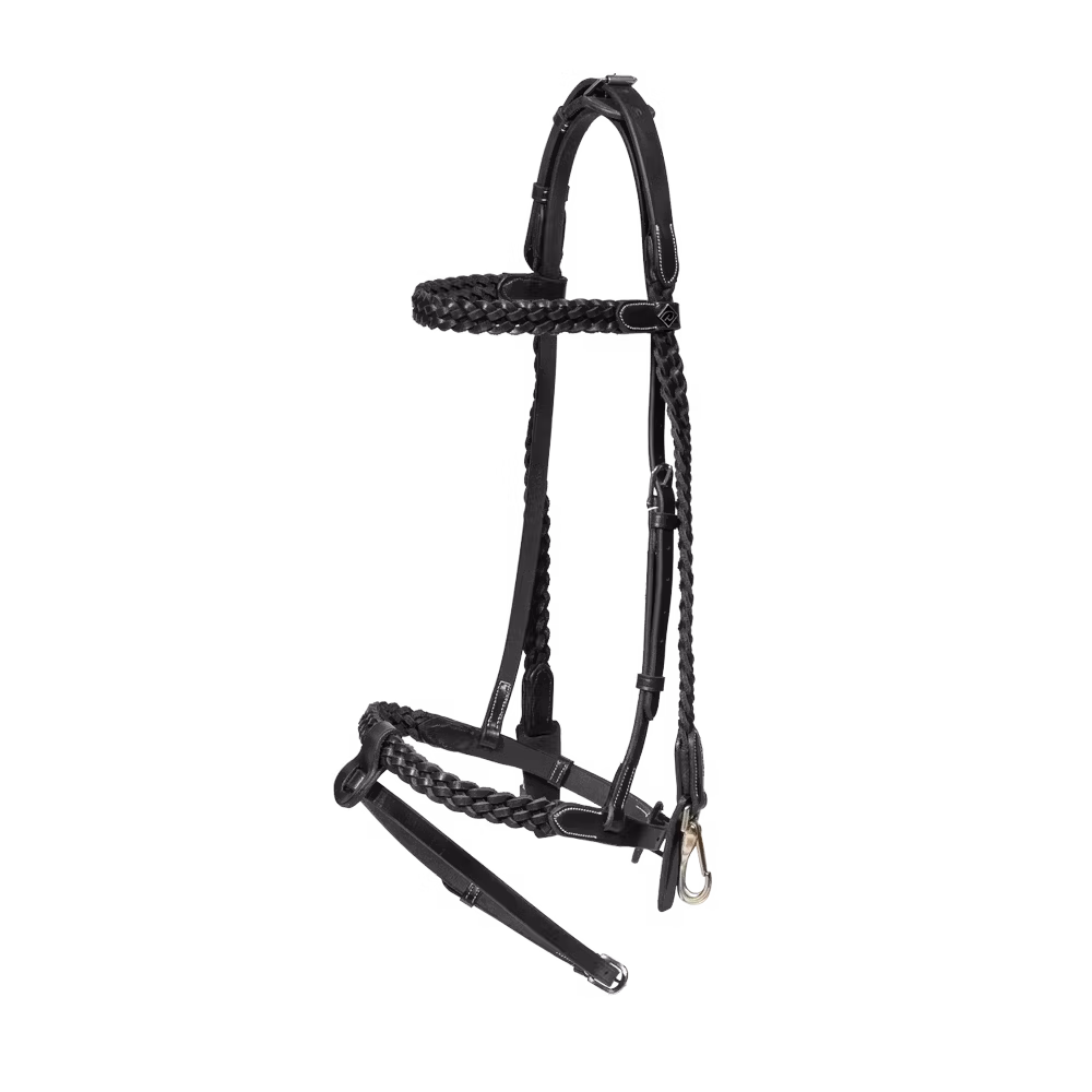 Plaited Training Bridle