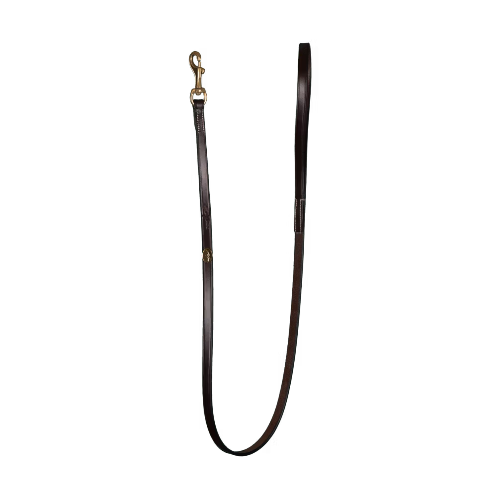 Classic Dog Leash