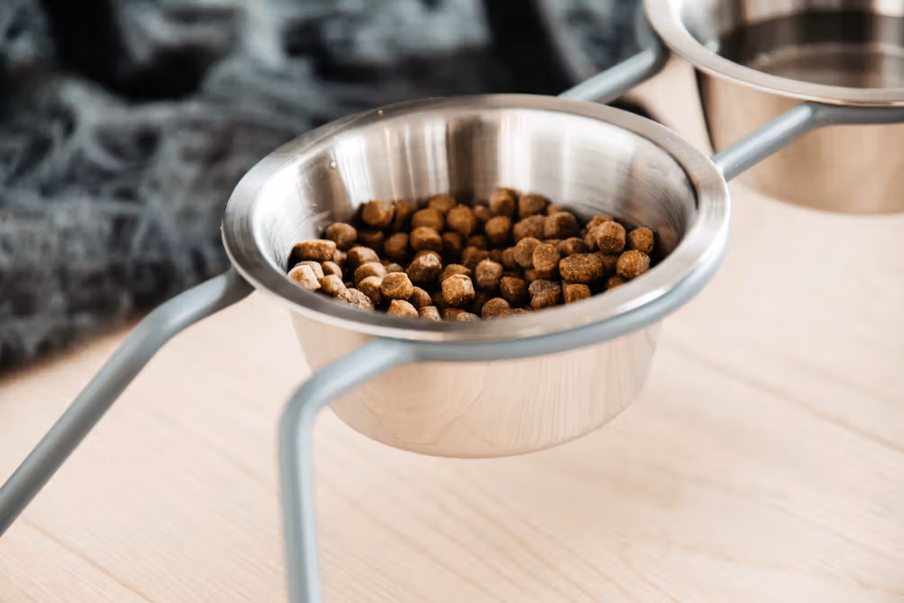 Dog Bowl comfort feeder dusty green S 2x 0.4L 14*6cm