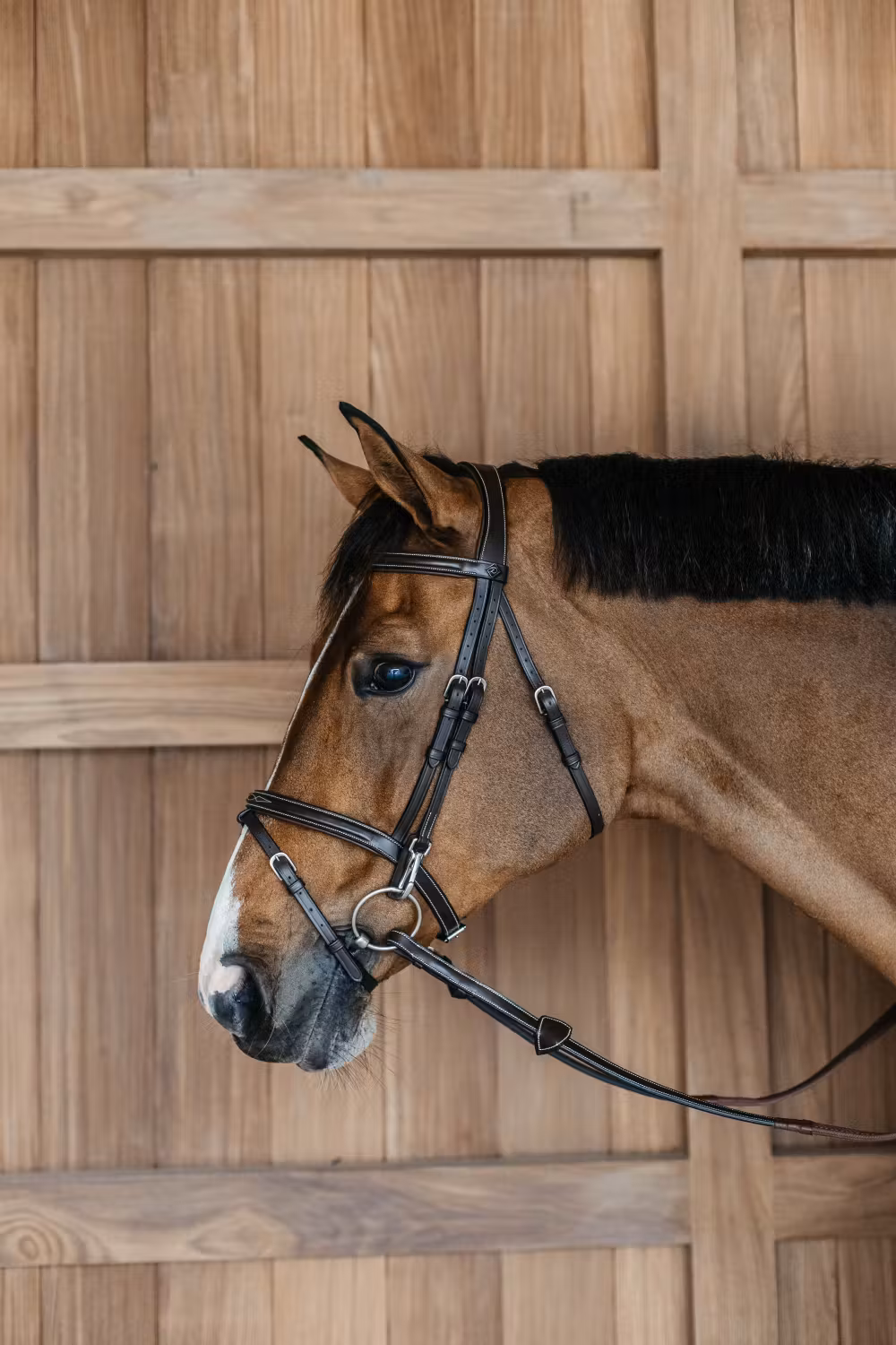 Flash noseband Bridle with snaps Brown Full WBD
