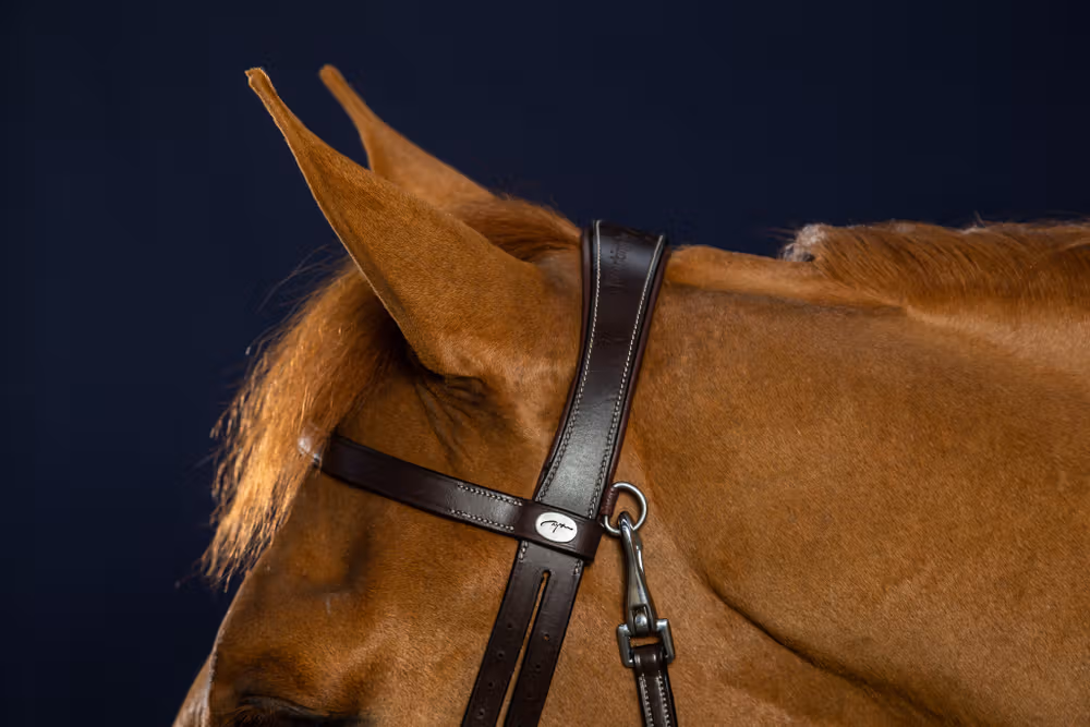 Flat Leather Bridle With Snap Hooks