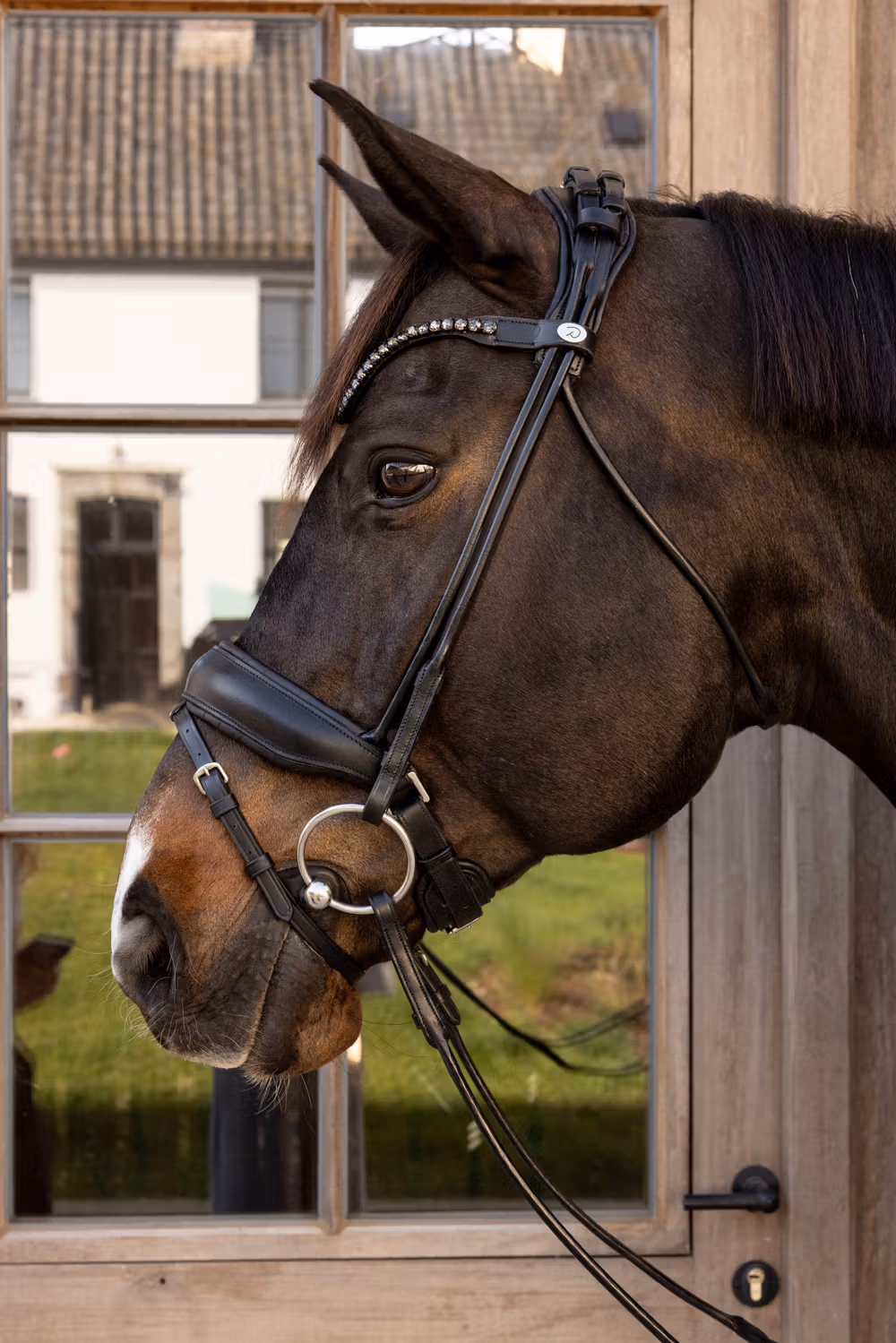 ComfoHead Bridle WBD Full/black