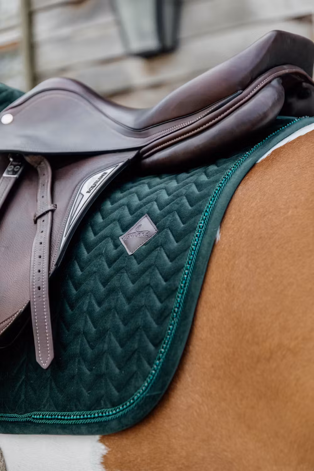 Saddle Pad velvet pearls jumping pine green