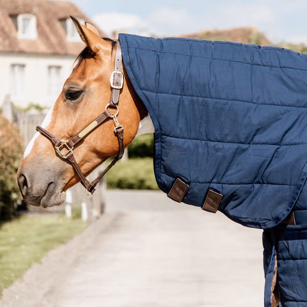 Under Rug skin friendly neck navy 145 6'6 150 gram