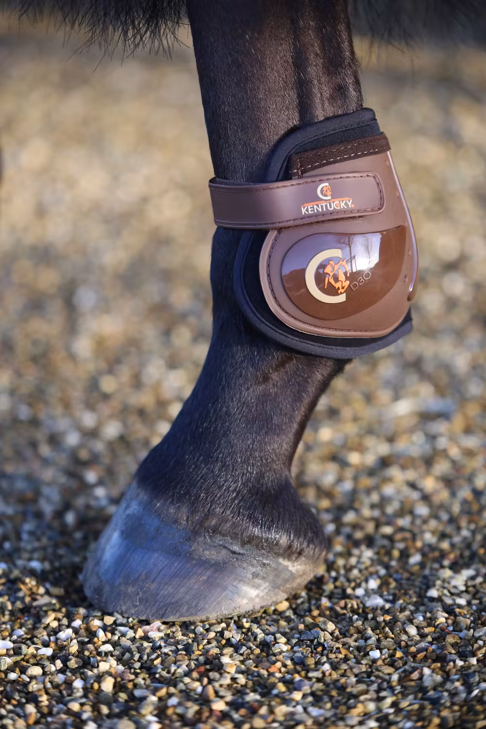 Moonboots brown