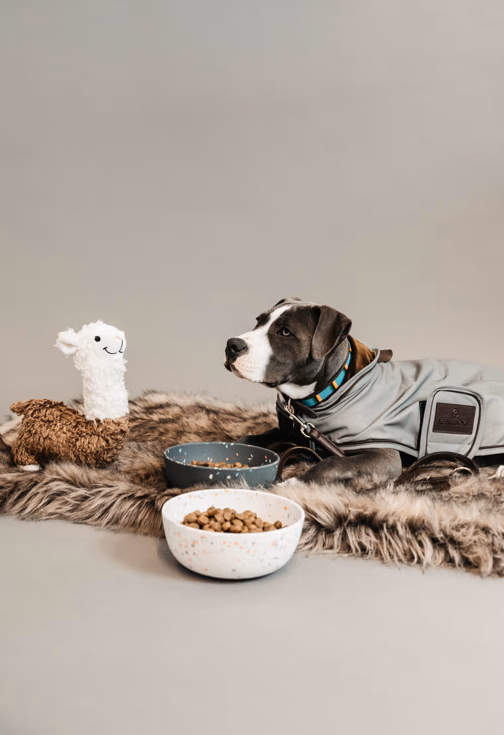 Dog coat reflective & water repellent silver XXL 74cm