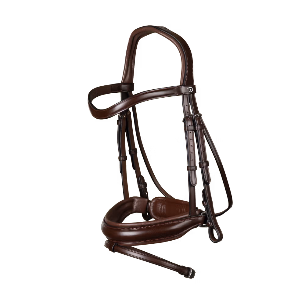 Matte Medium Crank Noseband Bridle With Flash
