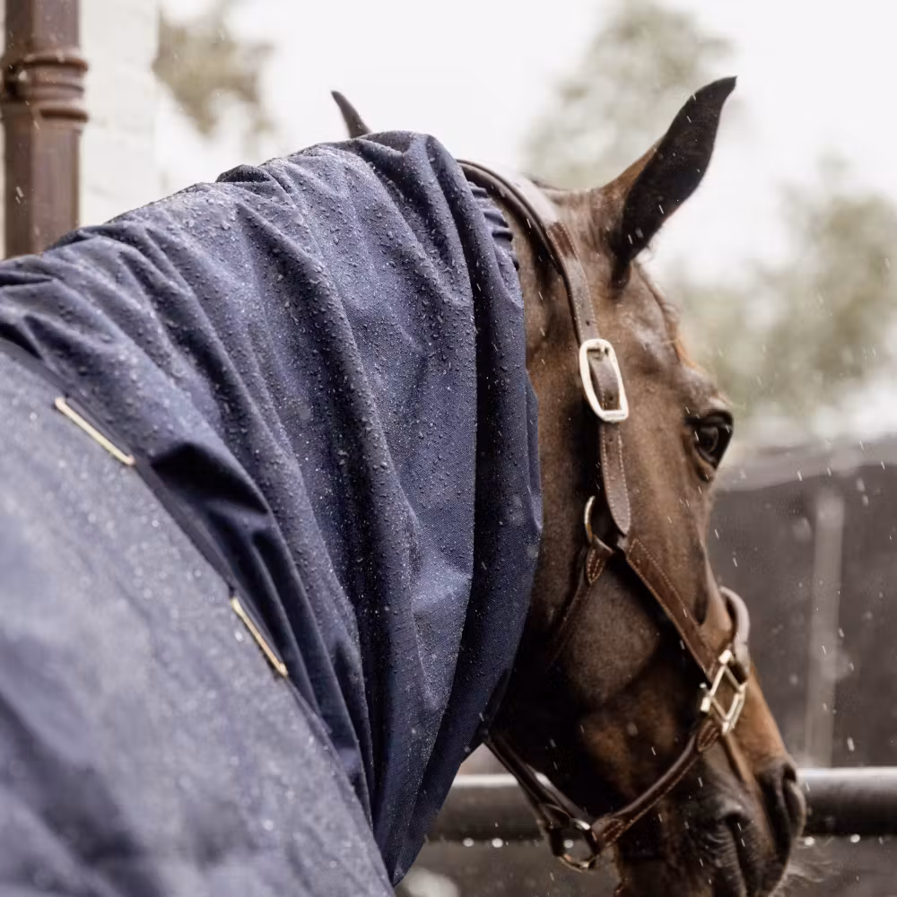 Waterproof Horse scarf navy classic Full